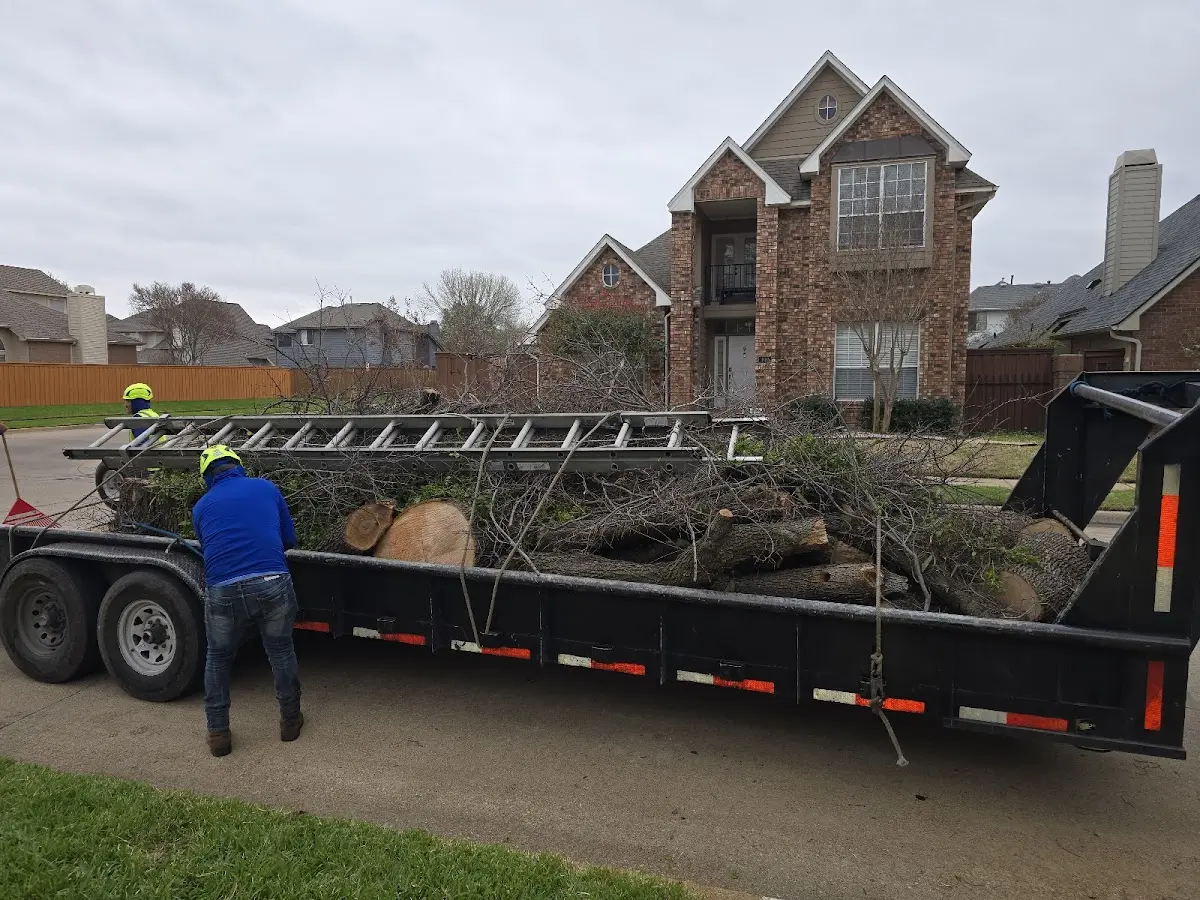 Expert Lot Clearing with proper safety equipment in Sanborn